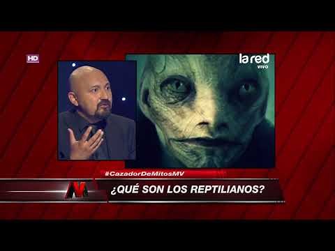 ¿Qué son los reptilianos?