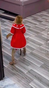 Kaka uses her strength to roll jackfruit and looks so funny #Kakavideo | Kaka Video