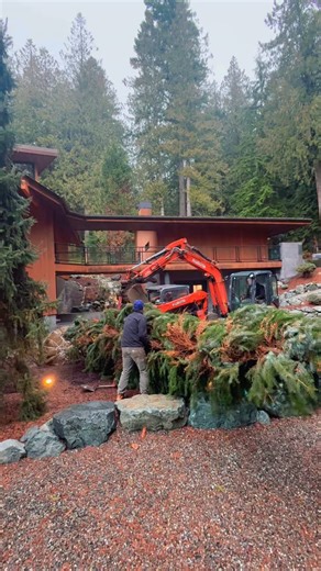 Garden treasures farm on Instagram: "Helping install a crazy big tree. 🌳. This one came from the garden center@and was delivered to a house on lake Whatcom. #bigtreeplanting #pnwtreemove #pnwtrees🌲"