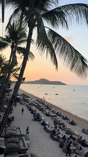 Relaxing Beach Scene with Palm Trees and Lounging Guests
