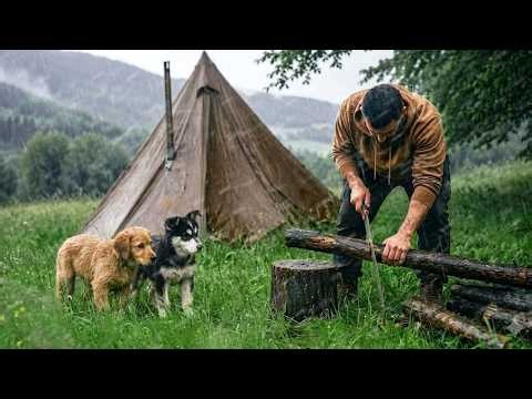 Most Brutal Camping in Heavy Rain with 2 Puppies! | They Were Shivering From Cold