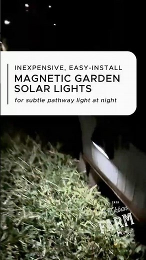 An easy DollarStore hack to add solar lights to the garden.