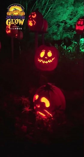 Jack O Lantern Glow - Cincinnati Zoo #shorts