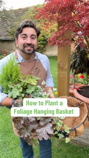 86K views · 889 reactions | Today’s daily gardening tips will show you how to make your own foliage hanging basket that’s not only winter hardy, but evergreen too. Using a clever combination of plants such as lemon Cyprus, Heuchera and Ivy to make this beginner gardener display. An easy step by step plant tips guide #gardeningtips #gardeningforbeginners #hangingbasket #planttips #gardenideas | Gardening with Ish | Facebook