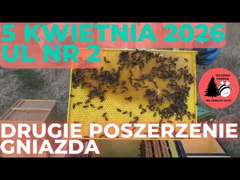 5 kwietnia 2026. Ul nr 2. Przegląd i drugie poszerzenie gniazda
