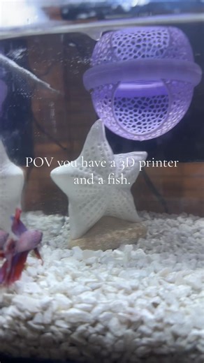 🐠 #fyp #viral | 3d Printer
