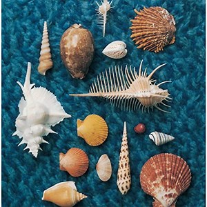 渚 歌詞 スピッツ グリコ ポッキー CM曲 ふりがな付 - うたてん