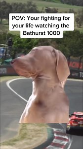483K views · 3.2K reactions | *Grabs a coffee or three*#motorsport #racing #bathurst #bathurst1000 #supercars #australiansupercars | Speedcafe.com | Facebook