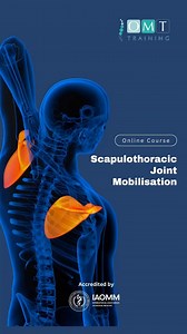 59K views · 1.2K reactions | How to do a Scapulothoracic Joint Mobilisation #manualtherapy | OMT Training | Facebook