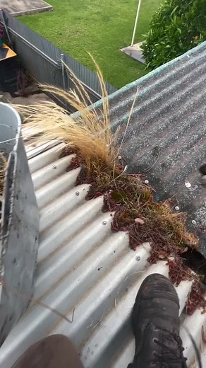 When the sun is rising and birds are chirping, we are out working on getting your gutters unblocked and flowing. 🦅 🍁 #guttercleaning #cleaningservices #exteriorcleaning