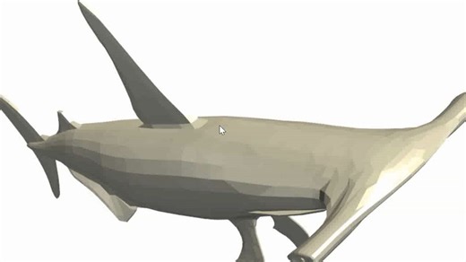 📊python3D建模-鲨鱼