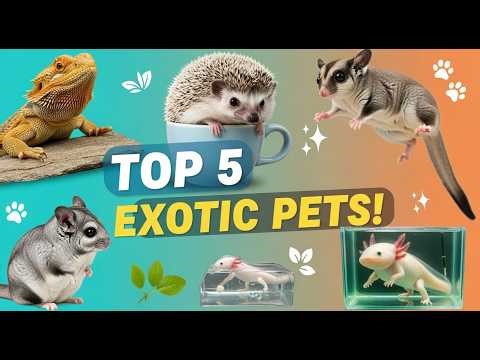 Top 5 Exotic Pets That Will SHOCK You