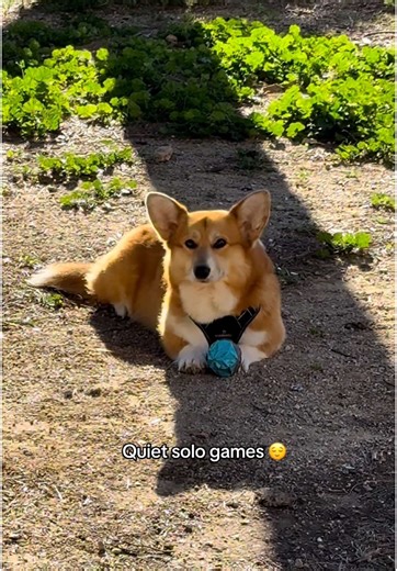 TikTok · Chopa & Topa