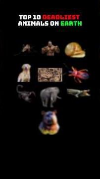 Top 10 Deadliest Animals on Earth (The Last One Is In Your House 😨)