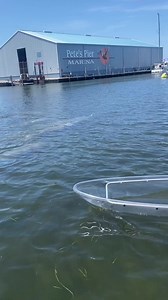 3M views · 19K reactions | Check out these Crystal River lcoals! Seeing a large group of manatees is super rare - they typically travel in pairs or in groups less than 6! 朗 | Get Up And Go Kayaking | Facebook