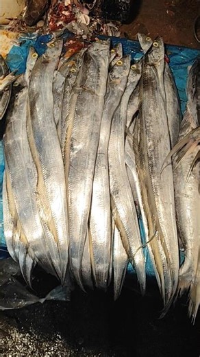 Fresh Fish Market Tour 2026 | Big Katla, Rohu, Pabda & Sea Fish Cutting #seafishing #fishcutting
