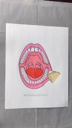 Caras de los dientes 🦷 #anatomiadental #odontologia #dental #dentista #dientes #labios #odonto #odontologia #anatomia | Odontología con Cri