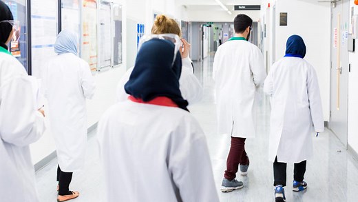 Cancer & Pharmaceutical Sciences | King's College London