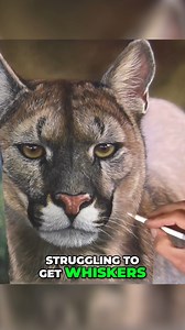 8.2K views · 300 reactions | Jason Morgan Wildlife Art on Reels | Facebook