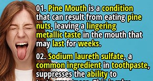 Flavor Oddities: 50 Curious Facts About Taste - Fact Republic