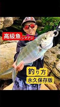 【永久保存版】㊙️〇〇を使ったシマアジの釣り方を大公開！ #釣り #陸釣り #釣り好き #fishing #海外釣り #高級魚 #シマアジ #海釣り