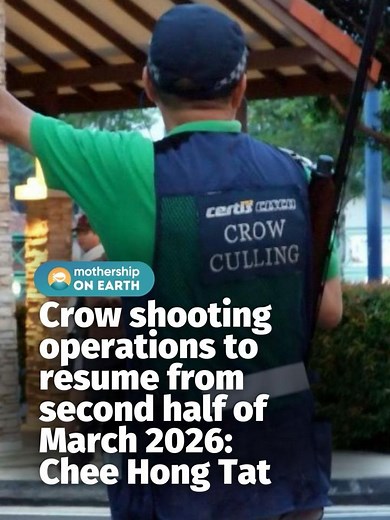 Addressing House Crows in Singapore: NParks' Action Plan