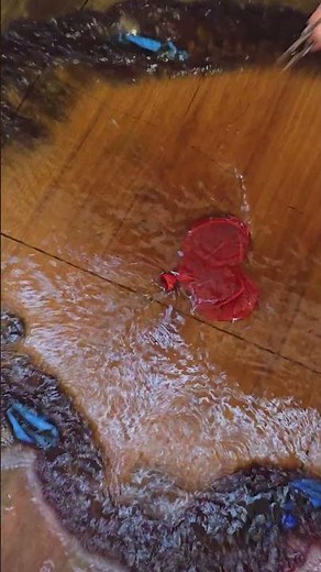 Balloon Burst Slow Motion Relax