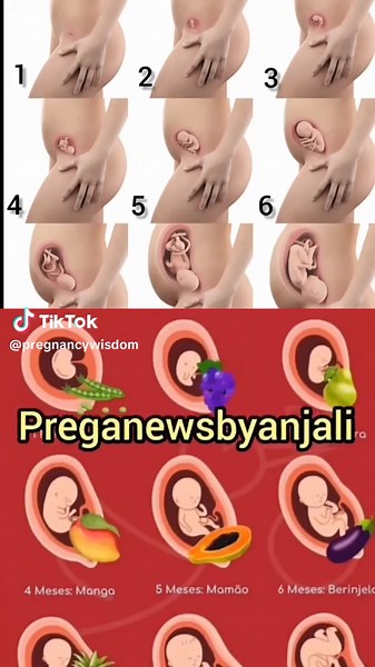 Baby Growing Week by Week: Milestones and Tips