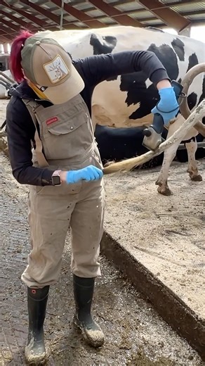 🐄✂️ Hoof Trimming 101: Secrets to Happy & Pain-Free Cows