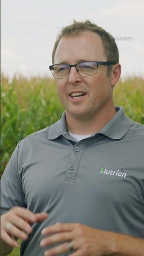 What's the Best Time to Apply Starter Fertilizer? #farming #agronomy