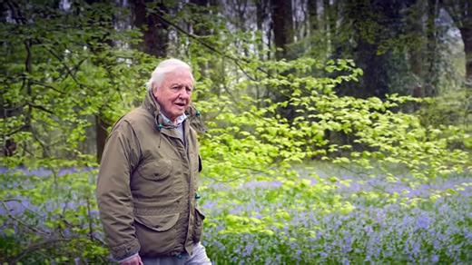 'Secret World of Sound with David Attenborough' To Land on Netflix in Select Regions in August 2024