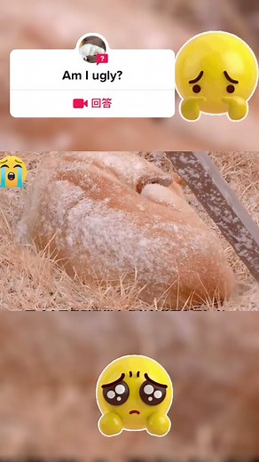 来自@babysitting_68的#回答 #pets #dogs