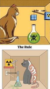 Schrodinger's cat experiment 🥼#shortsfeed #shortsviral #shorts #facts #education #cats #experiment