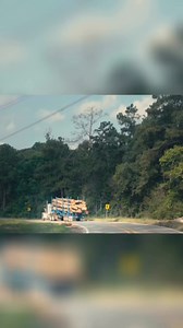 The folks at Elder Hardwoods are the definition of a generational company. They’ve been supplying the state with quality hardwoods that make for beautiful homes, all while being incredible stewards of the precious resource that is our East Texas forests. See their story this weekend. Check your local listings at the link in our bio! | Texas Country Reporter