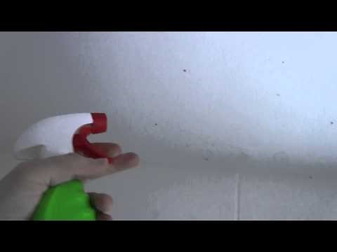 How to remove mold off your bathroom ceiling
