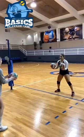 Volleyball Basics on Reels