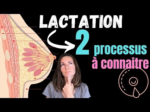 2 mécanismes de lactation à connaitre pour avoir une lactation abondante