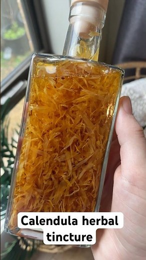 How to Make Calendula Tincture | Herbal Remedy for Skin #herbaltincture #calendula #naturalskincare