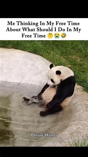 Thinking about what to do in my free time...😭🤣 #pandalife #relatablecomedy #relatablememes #freetime