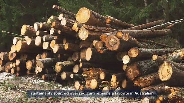 River Red Gum: Australia’s Iconic Tree and Handcrafted Products