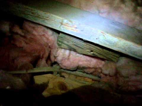 Installing a Ceiling Fan in the Correct Box