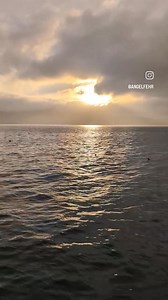 2024 was filled with unforgettable experiences, both at home and abroad. It felt like a year of new beginnings and with so much to be thankful for, how can I anticipate 2025 with anything less than joy and gratitude? One thing that stood out with all this travel was how much we loved coming home. I can't imagine living anywhere else. Looking forward to more travel next year. Arizona, Greece, Italy and California are all on the workshop list and I don't get to know what adventures are coming but 