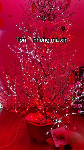 Đèn LED Tết: Rẻ mà Chất Lượng Đỉnh