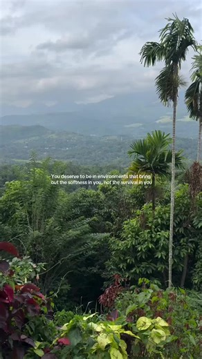 Morning Motivation for Your Growth Journey