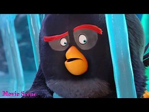 The Angry Birds 2 (2019) - The Plan Scene (12/13) | Movie Scene