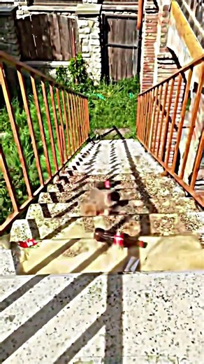 Crushing and Breaking Glass Bottles Vs. Stairs (Crunchy ASMR) ⚠️🔥 #satisfying #shorts