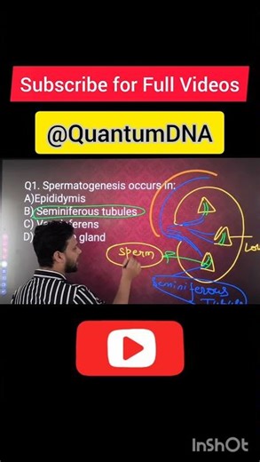Spermatogenesis + PYQ MCQs XII & NEET 2026 Human Reproduction Daniyal #shorts #pw #spermatogenesis