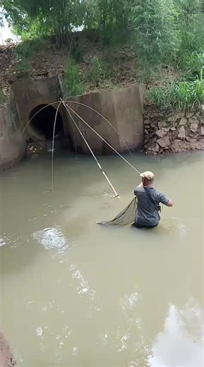 joy (@joy638479)’s videos with Suling Sunda Paling Merdu - NATURE OF LIVE