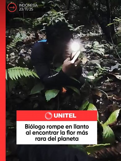 Descubrimiento de la Rafflesia hasseltii en Sumatra