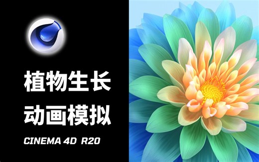 【C4D教程】植物花朵生长动画，吹爆！这么精彩的CINEMA 4D教程，你一定要看！！